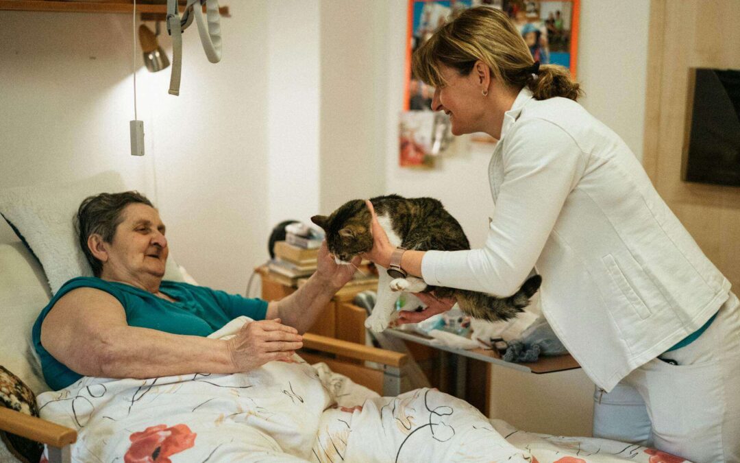 Djurterapi för äldre: Vad är det?