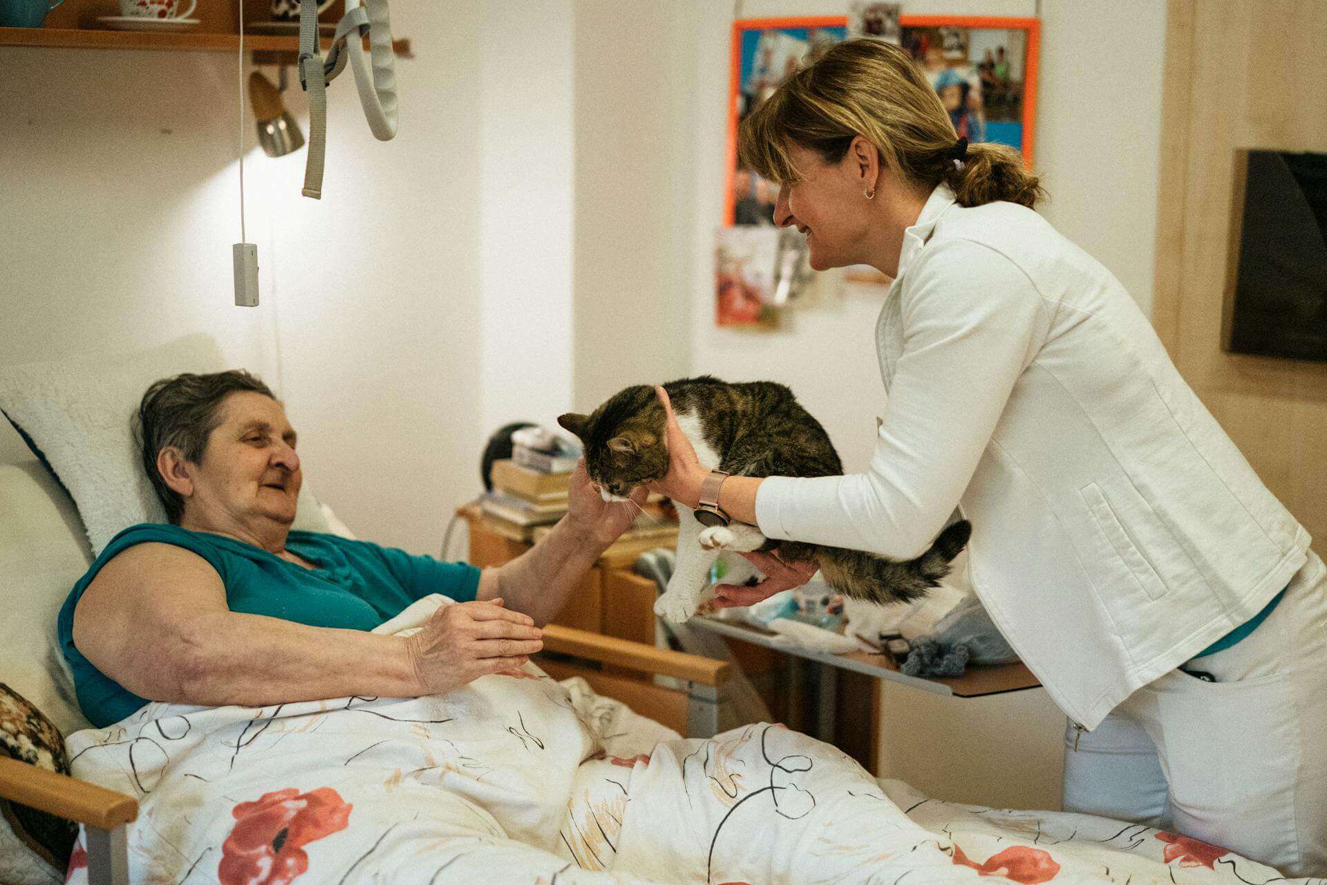 Djurterapi för äldre har många hälsofördelar.